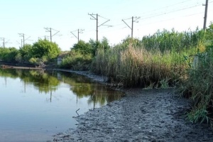 У нацпарку «Великий Луг» можуть обміліти водно-болотні угіддя