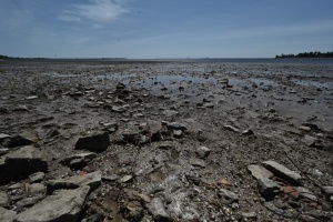 Каховське водосховище не зникне, але перетвориться на болото