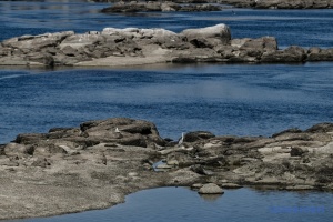 В Україні фіксують найменші за десятиріччя запаси води - до зими створюють резерв