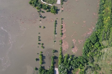 Nova Kakhovka : près de 55 000 hectares de forêt inondés à la suite de l'explosion du barrage de la centrale hydroélectrique 