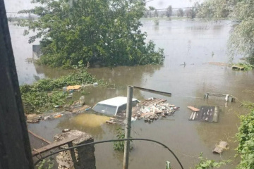 Alcalde: Ocho cuerpos de residentes ahogados llevados al hospital de Oleshky inundada 