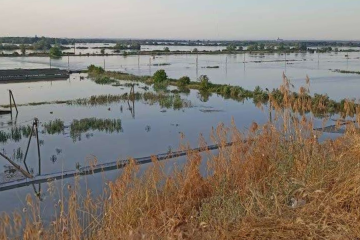 Військові дроном передали воду людині, яка чекала порятунку в затоплених Олешках