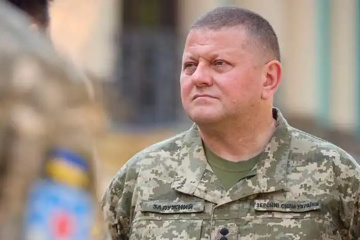 Saluschnyj bespricht mit Generalstabschef der Slowakei Waffen für Armee und Bedarf an Luftabwehr