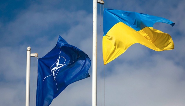 Stefanchuk calls for support for Ukraine's Euro-Atlantic future at NATO Parliamentary Speakers' Summit