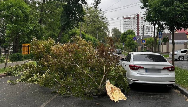 У Києві через падіння дерев ускладнений рух на вулицях Героїв Дніпра та Салютній