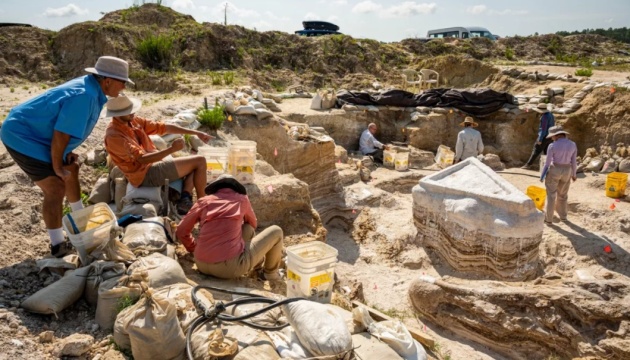 У Флориді палеонтологи знайшли стародавнє кладовище родичів сучасних слонів