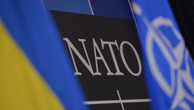 Ukraine wants to hear action plan of swift accession to NATO - deputy defense chief
