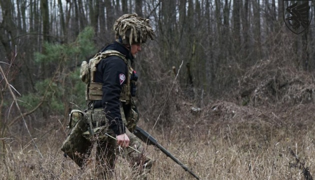 В Україні розмінували лише десяту частину лісів, що потребують обстеження