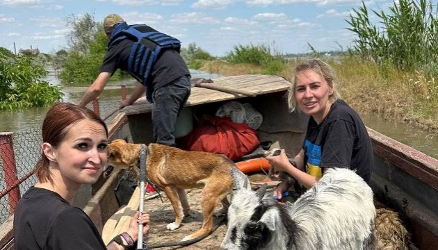 Ukraine : L'équipe du Centre de protection des animaux de Mykolaïv a sauvé plus de 130n animaux de la région de Kherson inondée 