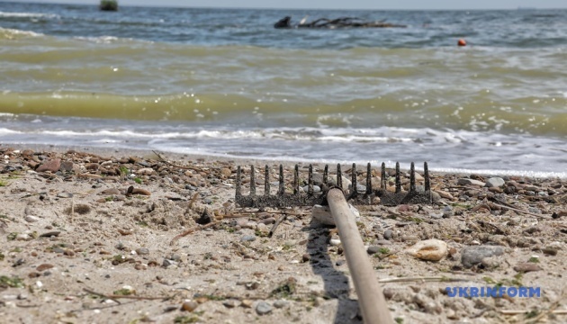 Houses from flooded Kherson region float in sea in Odesa region