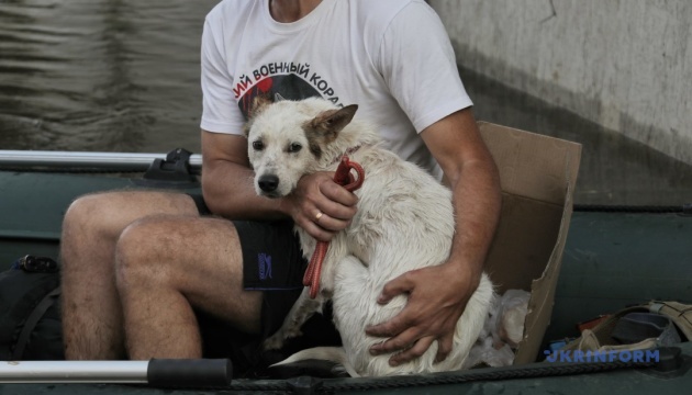 Кожне життя важливе: як волонтери рятують тварин у затопленому Херсоні
