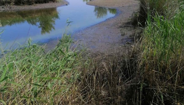 На Донеччині найскладнішою є ситуація з питною водою – медекспертка