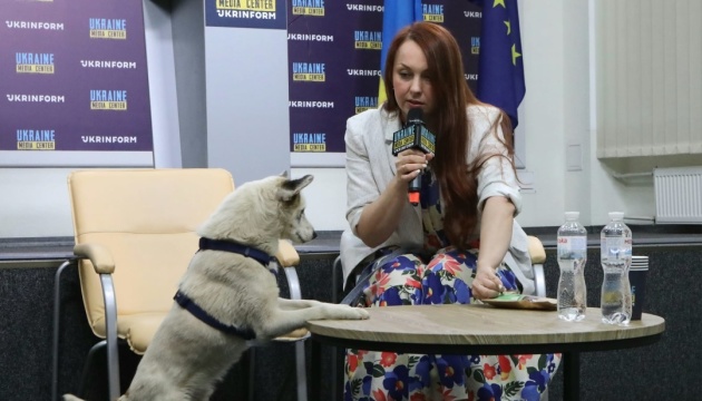 У Києві Patron Pet center приймає тварин, врятованих з Херсона