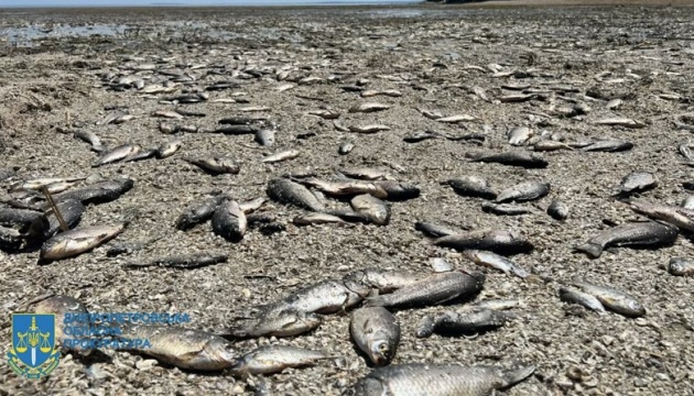 Over 9,000 fish died in Zaporizhzhia region due to lowered water levels in Kakhovka reservoir