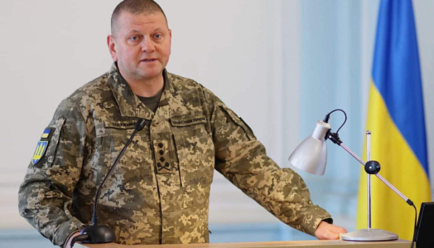 Ukraine's top commander congratulates Ukrainians on Father's Day