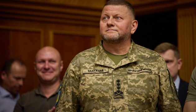 Zaluzhnyi shows Ukrainian flag flying over Robotyne village