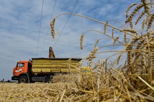 В аграрному комітеті ВР спрогнозували цьогорічний врожай зернових та олійних