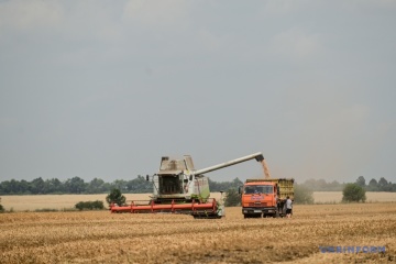 Harvesting in war: 80% of arable land in Zaporizhzhia remains under occupation