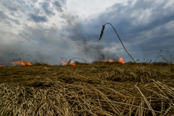 Russland beging 2.500 Umweltverbrechen in Ukraine