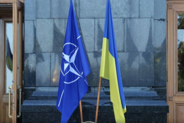 Stefanishyna trata con Cameron la adhesión de Ucrania a la OTAN