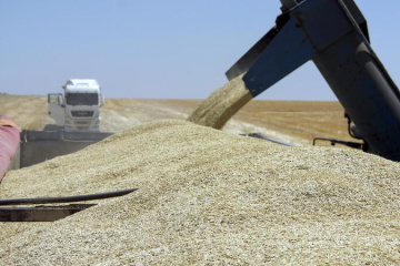 Romania seeks to double transit capacity for Ukrainian grain