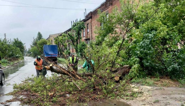 У Харкові під час негоди впало більш як 130 дерев