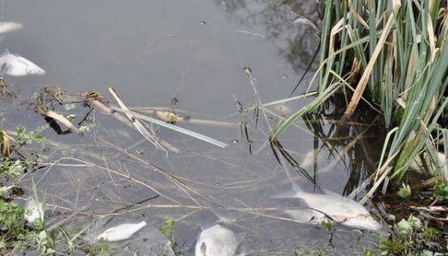 На Полтавщині виявили забруднення річки Псел невідомою речовиною