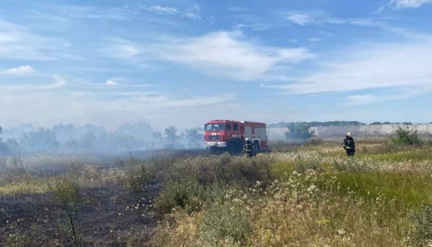 На Одещині палає суха рослинність