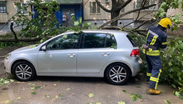 У Харкові під час зливи дерева попадали на автомобілі