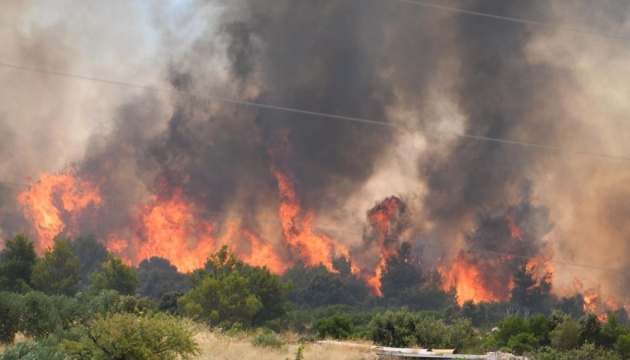 У Хорватії спалахнула масштабна лісова пожежа