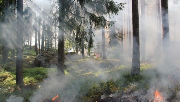 Українцям перед поїздкою на Родос радять уточнювати інформацію щодо лісових пожеж