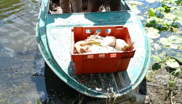 На Полтавщині виловили майже 380 кілограмів мертвої риби із річки Псел