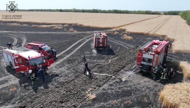 10 hectares of wheat field burned down near Odesa