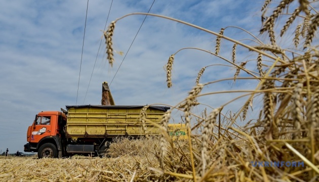 На Харківщині зібрали понад 1,3 мільйона тонн зернових