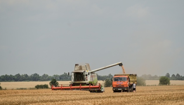 Harvesting in war: 80% of arable land in Zaporizhzhia remains under occupation