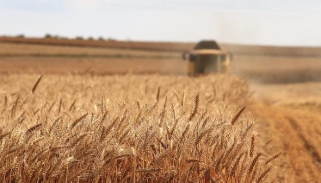 Ukraine harvests over 67M t of grains, oilseeds