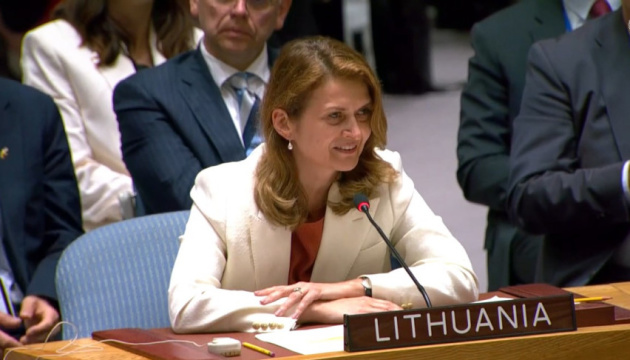 Baltic countries condemn Russia's crimes in Ukraine at UN Security Council
