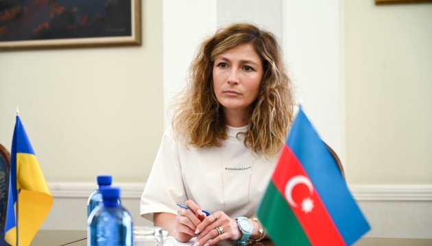 Україна розраховує на підтримку Азербайджаном Кримської платформи та Формули миру – Джапарова