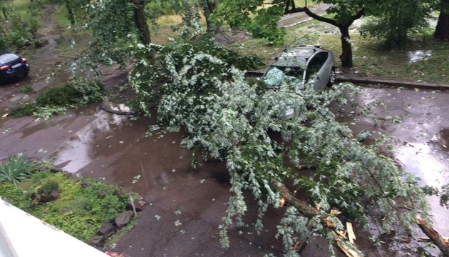 Ужгородом пронісся буревій: повалені десятки дерев, затоплені вулиці