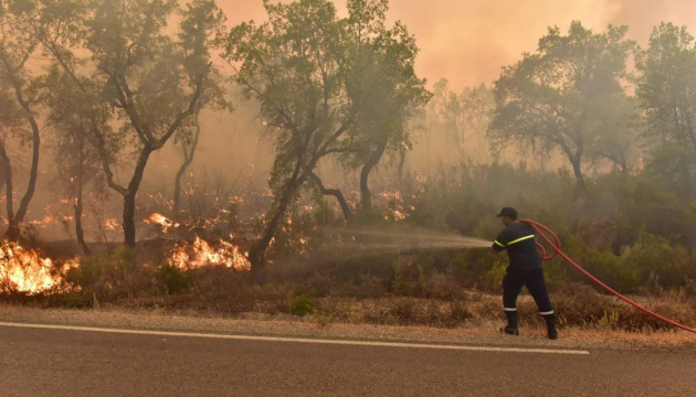 В Алжирі вирують лісові пожежі: 15 загиблих, понад тисяча евакуйованих