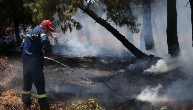 У Греції за добу виникло понад 50 лісових пожеж