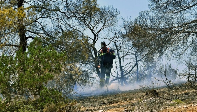 У Греції евакуюють мешканців чотирьох сіл через нову пожежу
