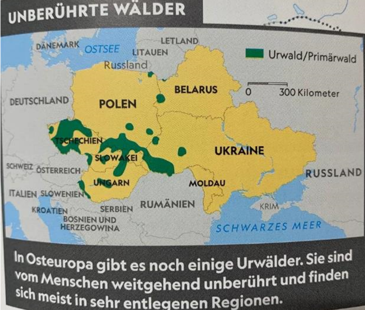 Image from the Weltatlas National Geographic Kids Atlas in German. The same map is used in Weltatlas National Geographic Kids (Atlante del mondo) in Italian.