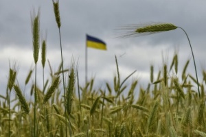 L'Ukraine a livré plus de 200 000 tonnes de produits agricoles vers 10 pays d'Afrique et d'Asie