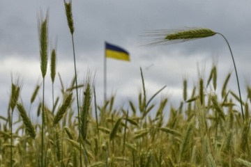 Ukraine exports over 20.2M t of grains, pulses