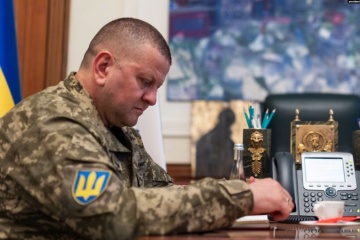 Lage an der Front und ukrainische Pläne: Saluschnyj spricht telefonisch mit Milley