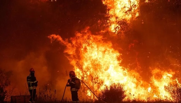 У Португалії - масштабні лісові пожежі