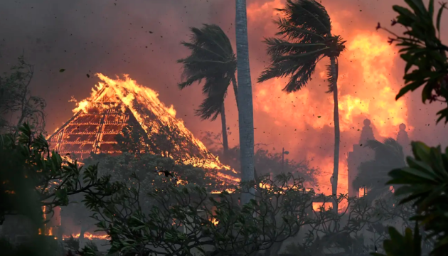Лісові пожежі на Гаваях: кількість загиблих зросла майже до сотні