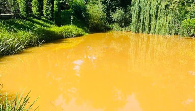 Вода у річці пожовтіла: поліція відкрила справу через забруднення землі на Прикарпатті