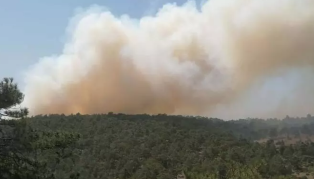 У Туреччині знову горять ліси - до гасіння залучили авіацію